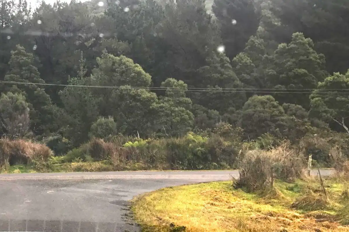 Main view of Homely land listing, 53 Fowler Street, Zeehan TAS 7469