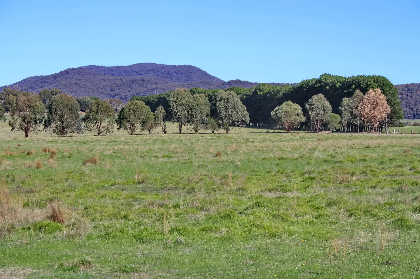 Main view of Homely land listing, 25 Pearce Lane, Swanpool VIC 3673