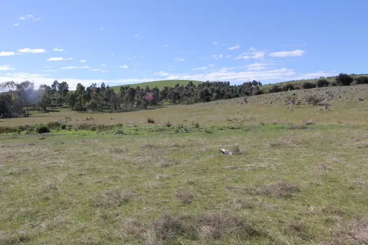 Sixth view of Homely land listing, LOT 1 Barry Lane, Tooborac VIC 3522