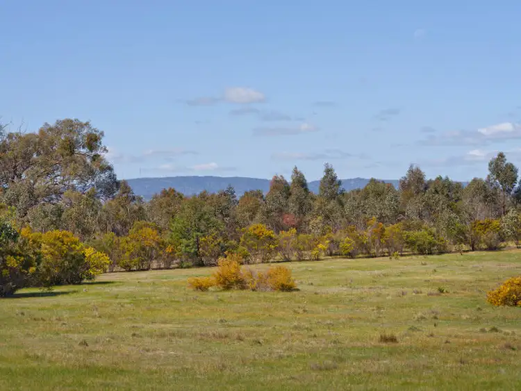 Third view of Homely house listing, 1083 Fogarty's Gap Road, Walmer VIC 3463