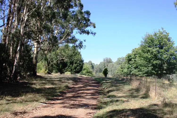 Third view of Homely rural property listing, 39 Altmans Road, Tolmie VIC 3723