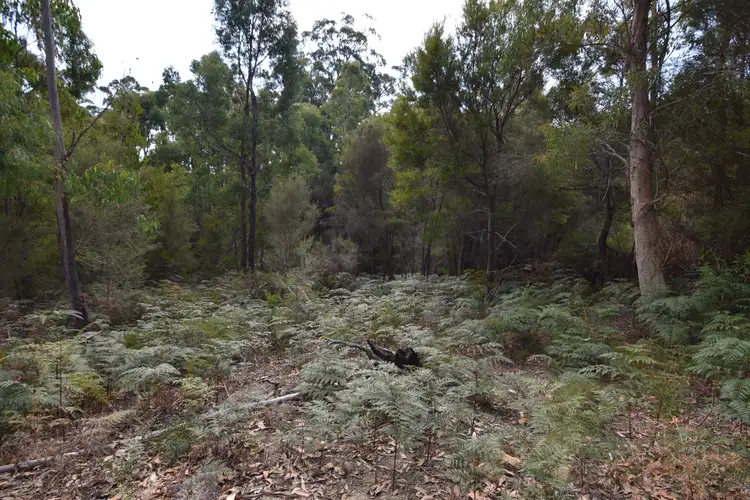 Fifth view of Homely land listing, 240 Back Cam Road, Somerset TAS 7322