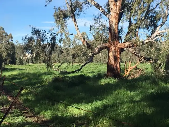 Second view of Homely land listing, 0 Mackay Street (5 ACRES), Rochester VIC 3561