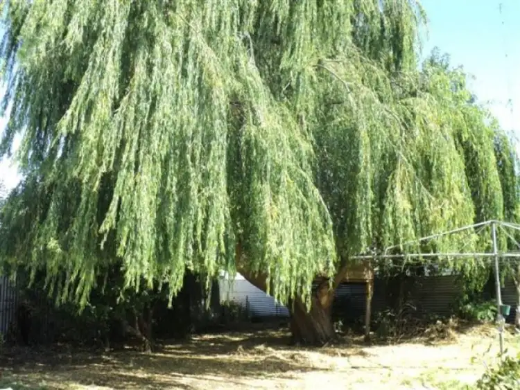 Fifth view of Homely house listing, 19 Moore Street, Hamilton VIC 3300