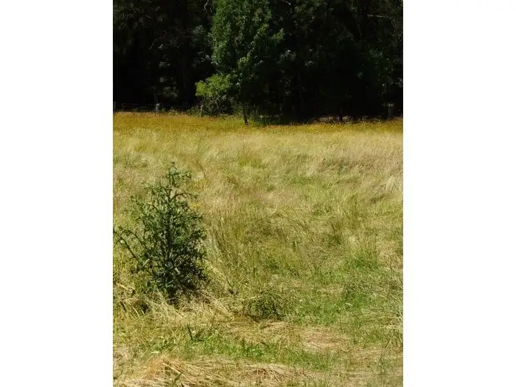 Main view of Homely land listing, 495 Mount Baw Baw Road, Noojee VIC 3833