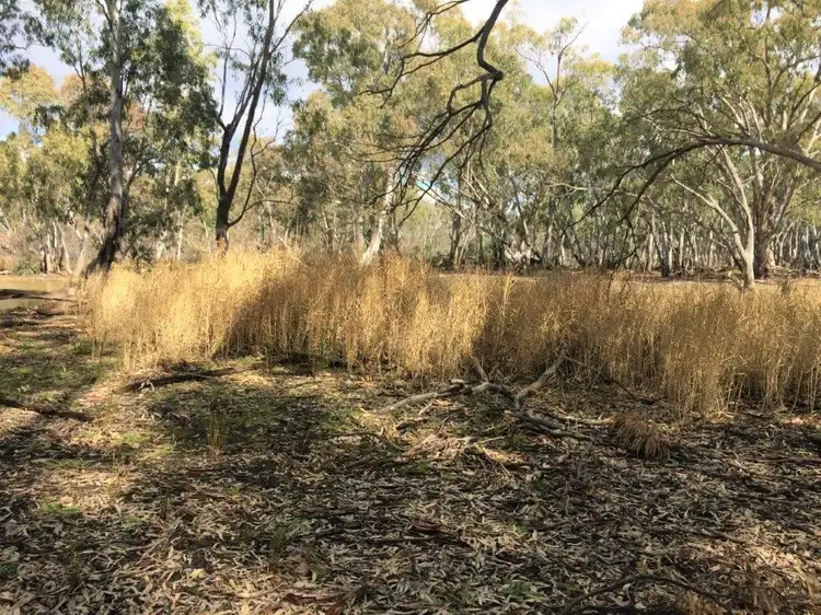 Seventh view of Homely land listing, LOT 1 Williamsons Road, Laanecoorie VIC 3463