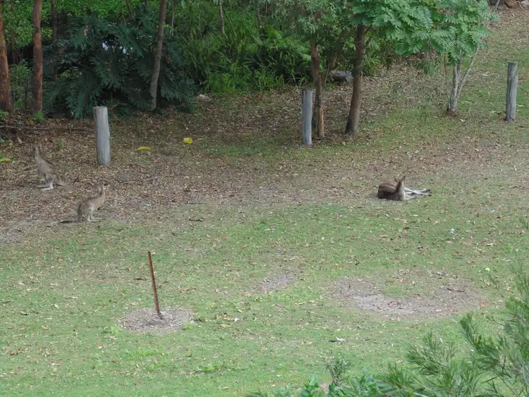 Seventh view of Homely house listing, 2 Eucalyptus Crescent, Ninderry QLD 4561