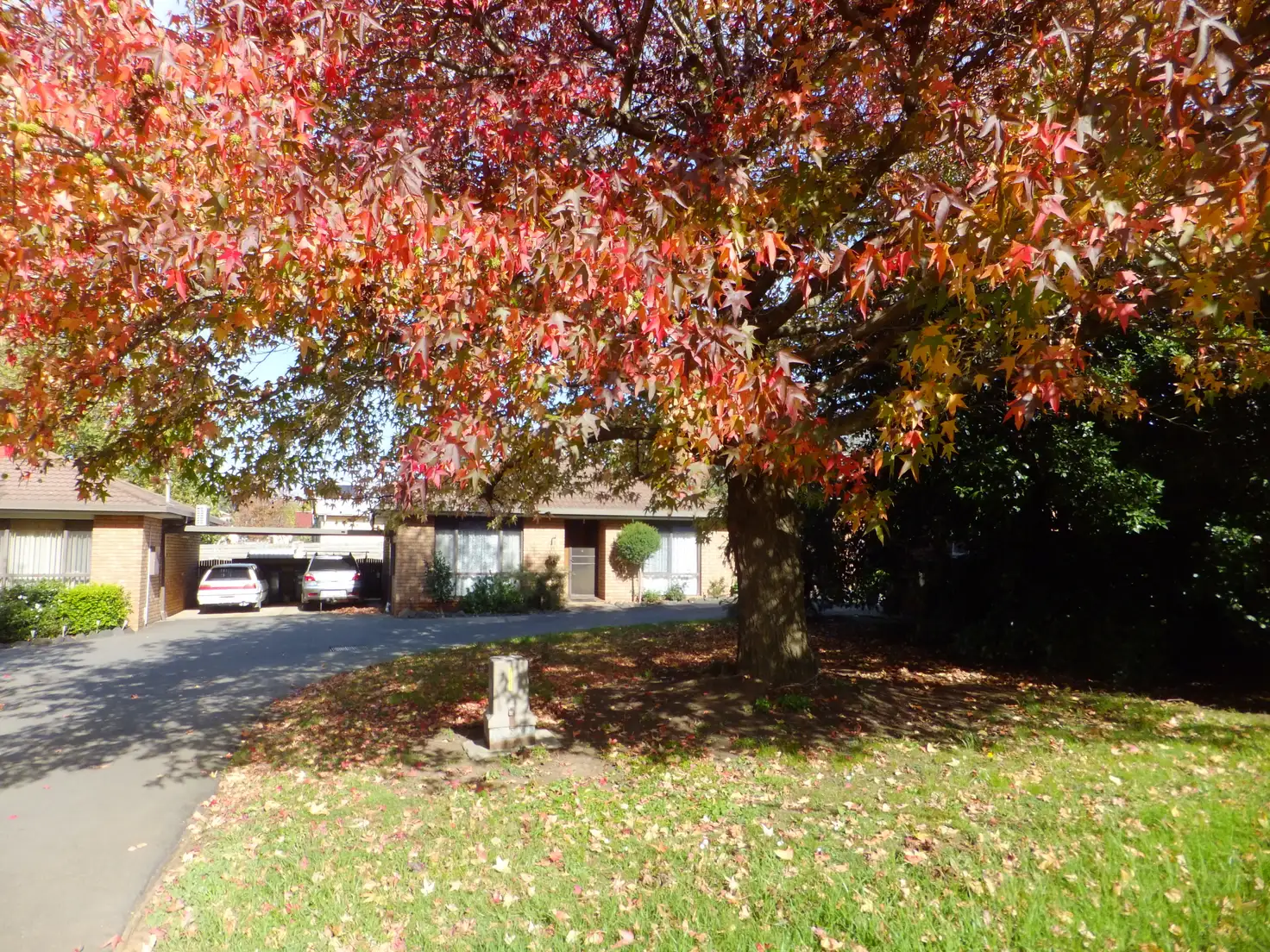 Main view of Homely unit listing, 3/40 Main Road, Neerim South VIC 3831