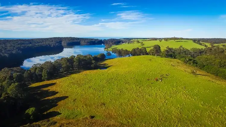 Sixth view of Homely rural property listing, 619 Old Hwy, Narooma NSW 2546