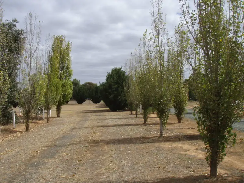 Main view of Homely land listing, 282 COHEN, Rochester VIC 3561