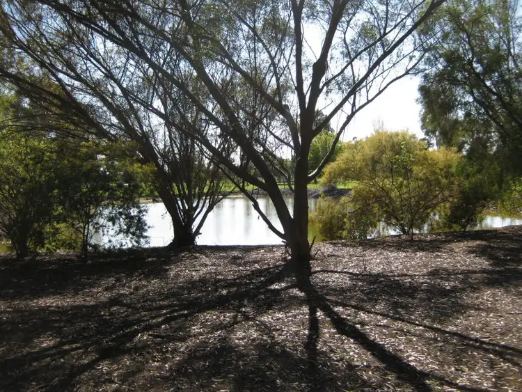 Sixth view of Homely rural property listing, 6172 Northern Highway, Rochester VIC 3561