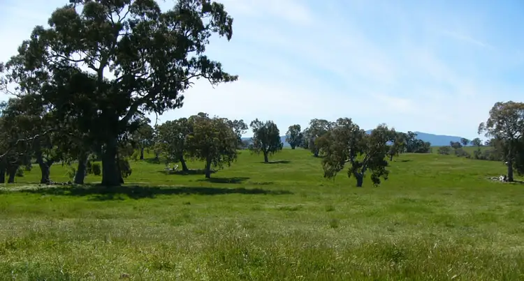 Main view of Homely rural property listing, 585 Kilmuir Lane, Mansfield VIC 3722