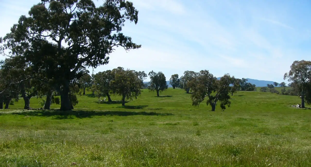 Main view of Homely rural property listing, 585 Kilmuir Lane, Mansfield VIC 3722