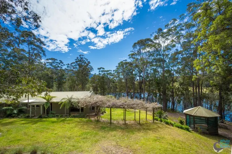 Third view of Homely rural property listing, 9165 Princes Highway, Tilba Tilba NSW 2546