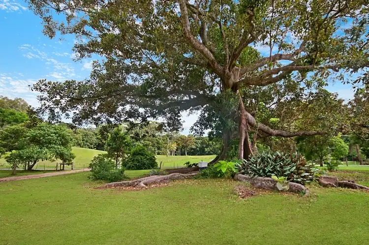 Sixth view of Homely rural property listing, 224 The Manse Rd, Myocum NSW 2481