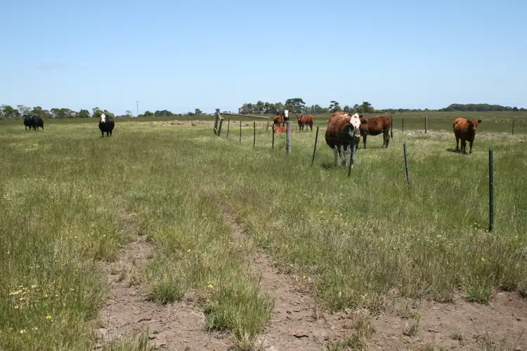 Fifth view of Homely land listing, LOT 1/903 Koroit - Woolsthorpe Road, Woolsthorpe VIC 3276