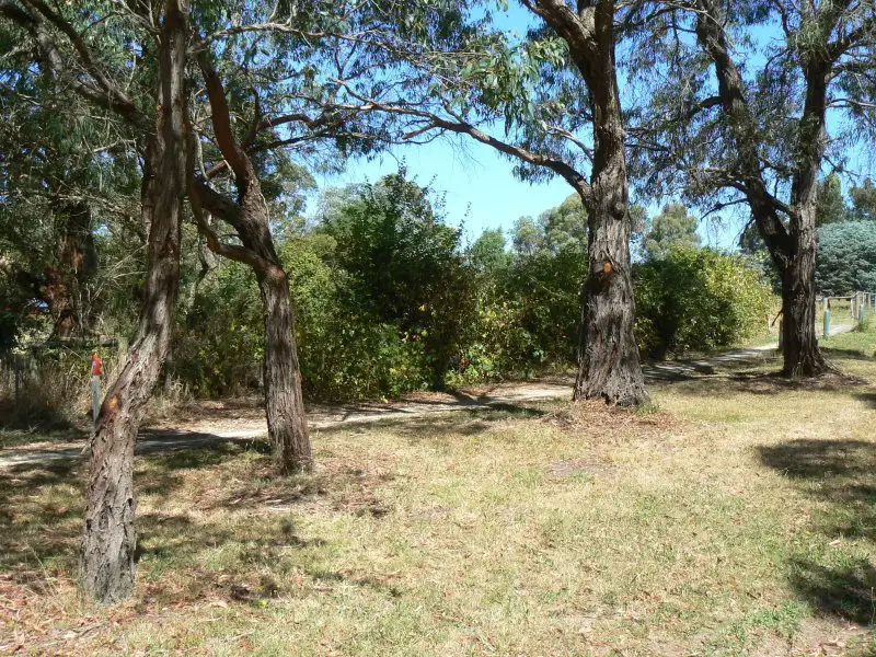 Main view of Homely rural property listing, 2317 Birregurra-Forrest Road, Forrest VIC 3236