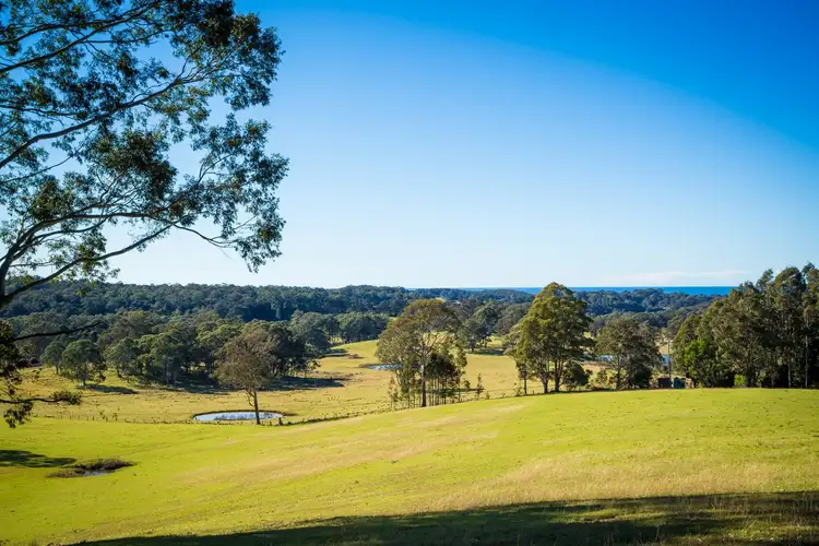 Sixth view of Homely rural property listing, 128 Wonga Road (Hillcrest), Narooma NSW 2546