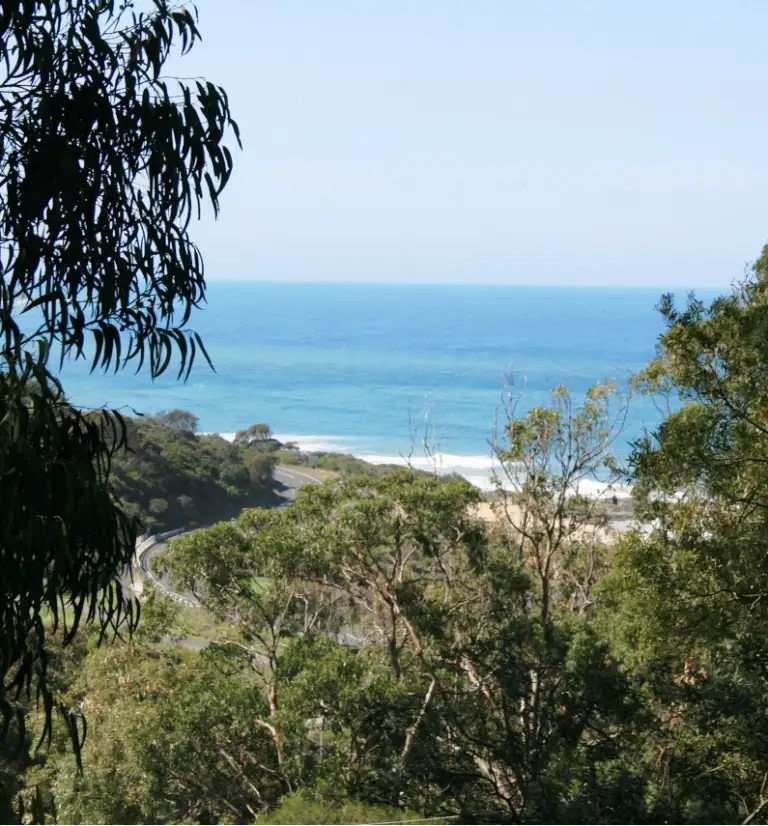 Main view of Homely house listing, 6 GIBSON AVENUE, Kennett River VIC 3234