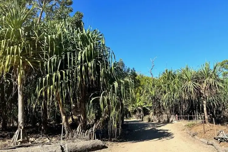 Sixth view of Homely rural property listing, 52 Granitevale Road, Alice River QLD 4817