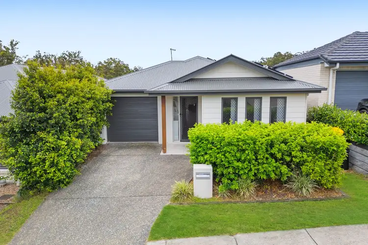 55 Falco Drive