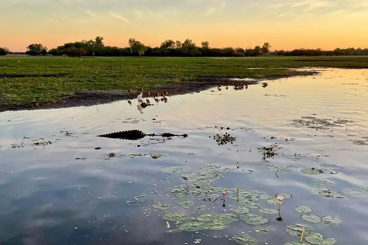 385 Bees Creek Road, Bees Creek NT 822