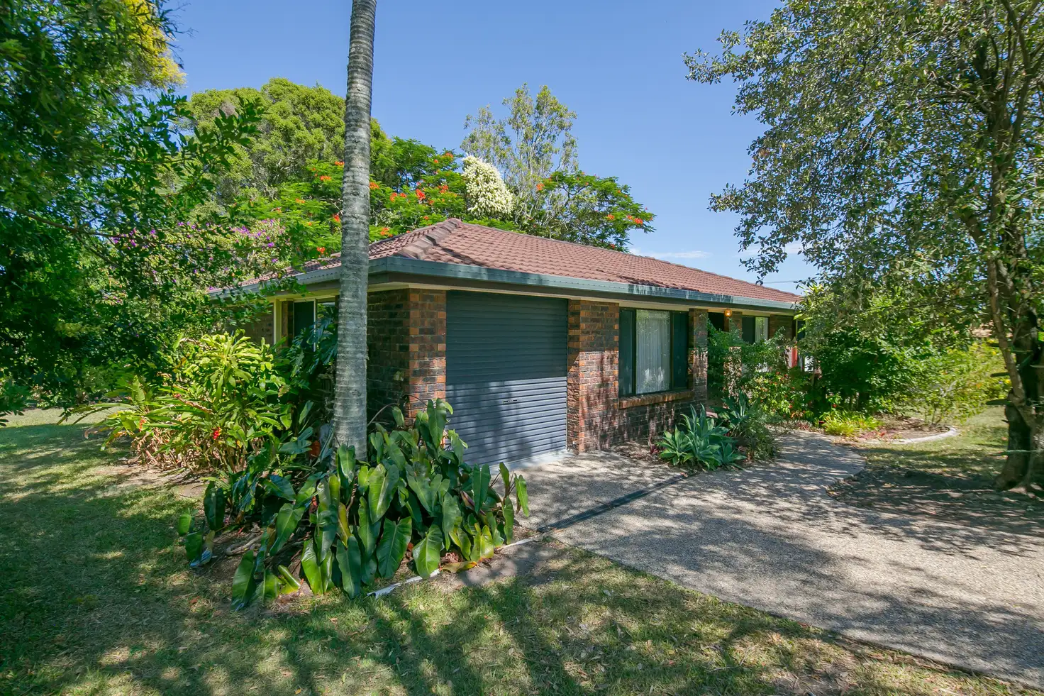 Main view of Homely house listing, 3 Kalmia Street, Alexandra Hills QLD 4161