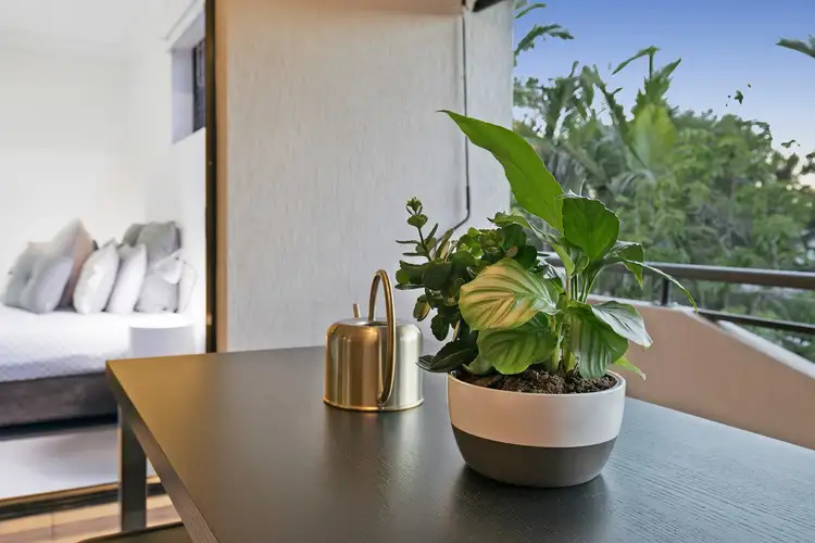 Third view of Homely apartment listing, 5/325 Hawthorne Road, Hawthorne QLD 4171