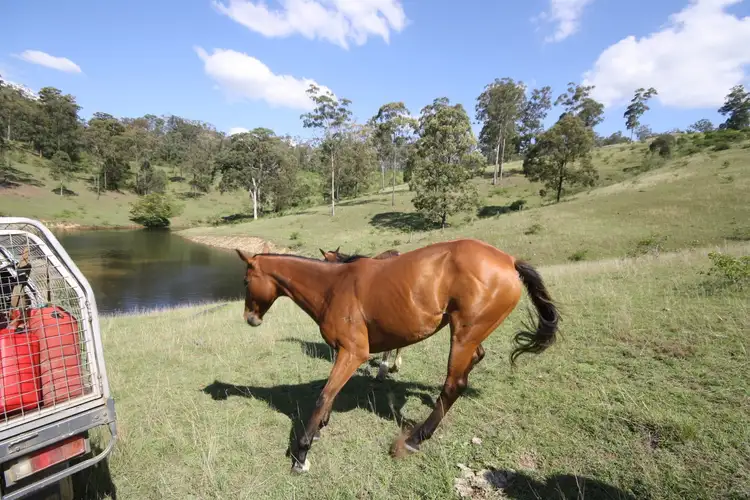 Second view of Homely rural property listing, 421 Brennan Road, Redbank Creek QLD 4312