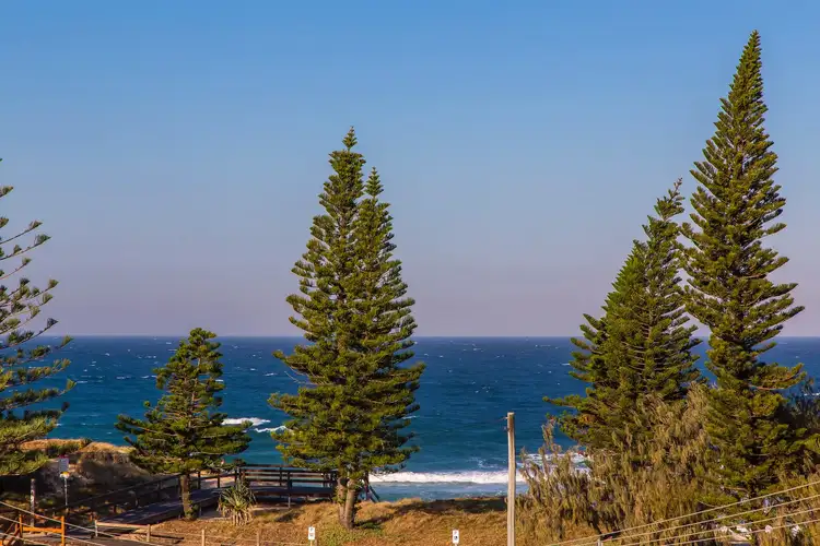 Fourth view of Homely house listing, 4 Point Cartwright Drive, Buddina QLD 4575