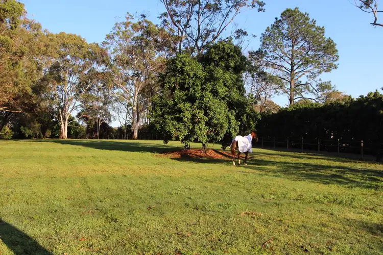 Sixth view of Homely house listing, 69 Taylor Road, Thornlands QLD 4164