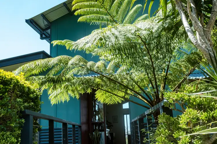 67 Highlands Hill Road, Maroochy River QLD 4561