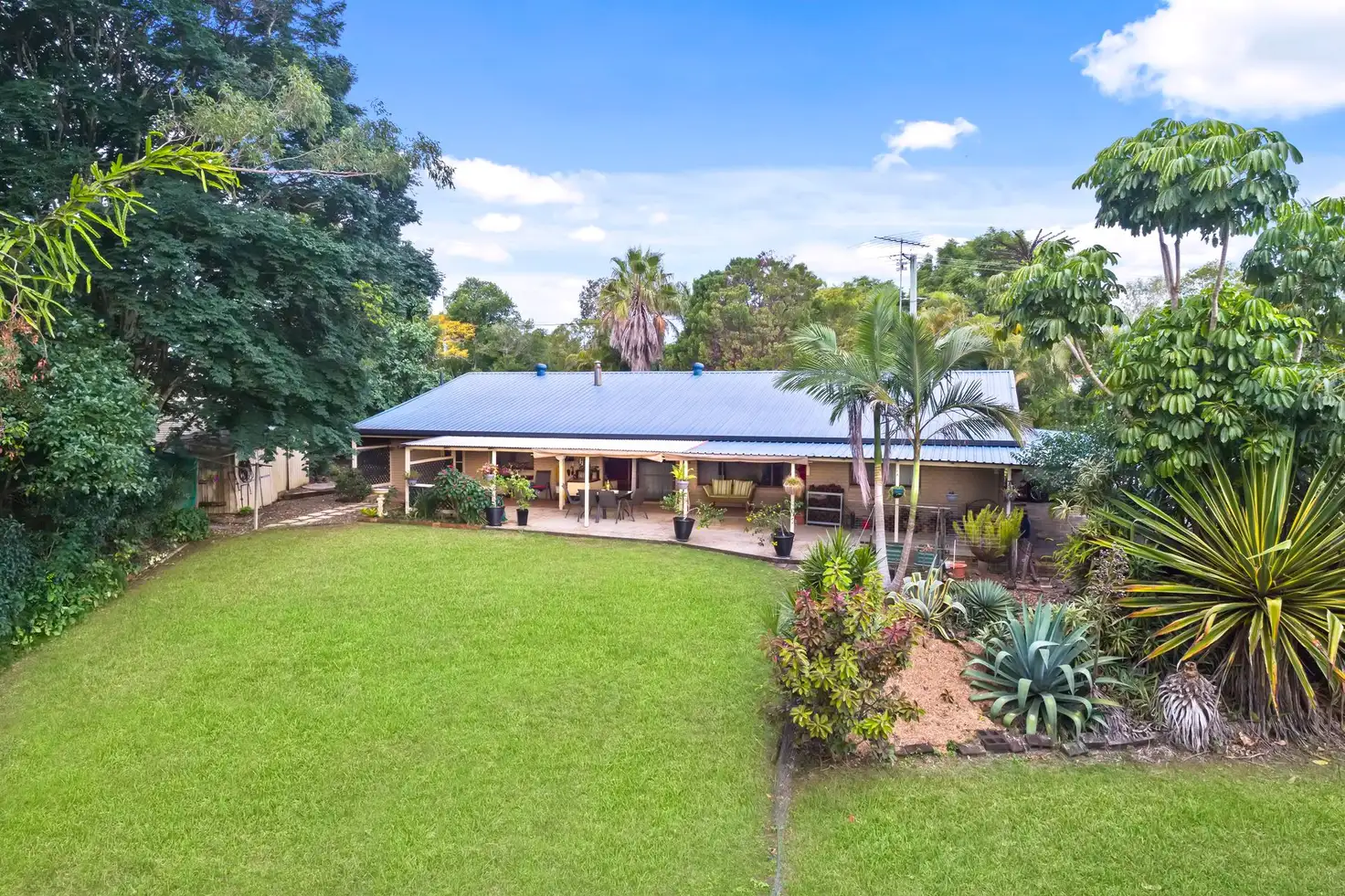 Main view of Homely house listing, 36 Murray Grey Drive, Kureelpa QLD 4560
