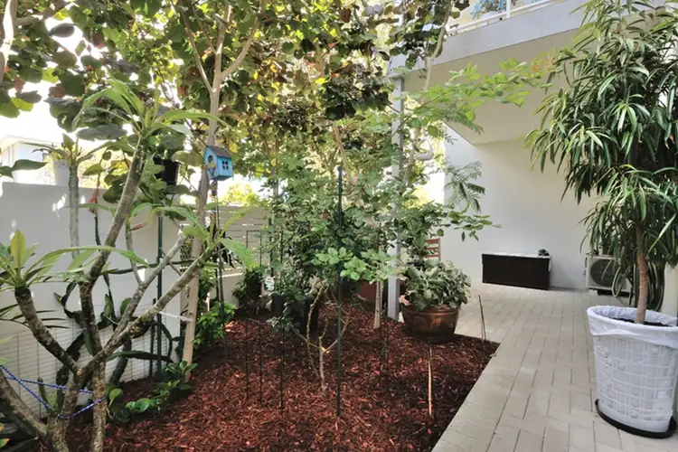 Fourth view of Homely unit listing, 1/180 Kent Street, Rockingham WA 6168