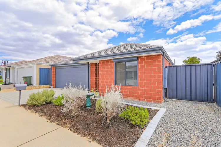 Main view of Homely house listing, 36 Araucaria Boulevard, Byford WA 6122