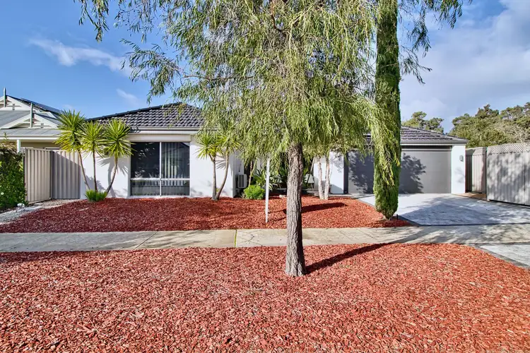 29 Shetland Way, Baldivis WA 6171