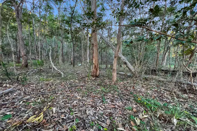 Sixth view of Homely land listing, 0 Benian Road, The Palms QLD 4570