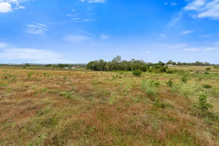 Sixth view of Homely house listing, 99 Newlands Road, Wamuran QLD 4512