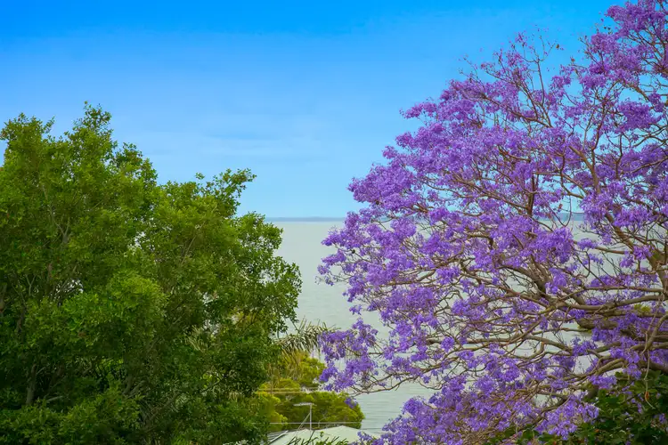 Second view of Homely house listing, 5 Charlotte Court, Ormiston QLD 4160