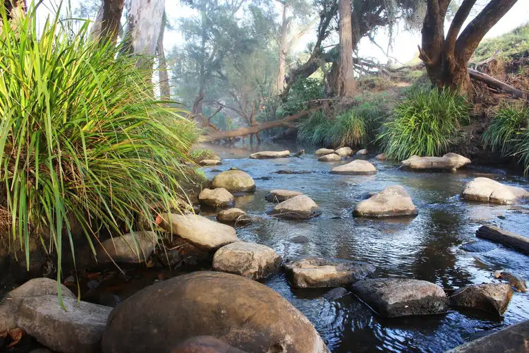 Sixth view of Homely land listing, Lot 1 & 2 Boonah-Rathdowney Road, Maroon QLD 4310