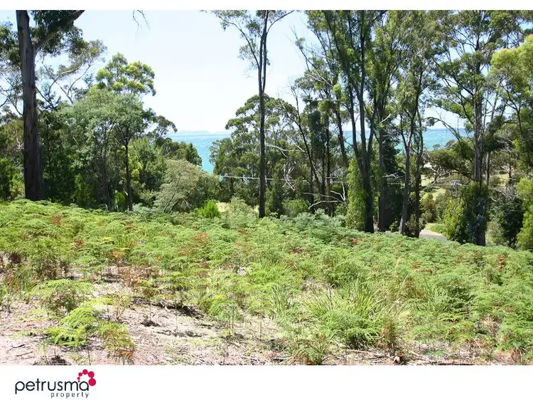 Third view of Homely land listing, 480 Rheban Rd, Spring Beach TAS 7190