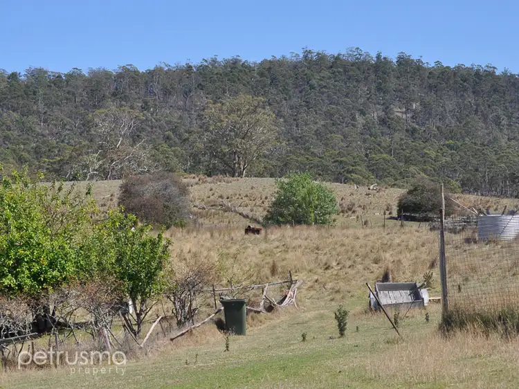 Fourth view of Homely house listing, 4161 Tasman Highway, Runnymede TAS 7190