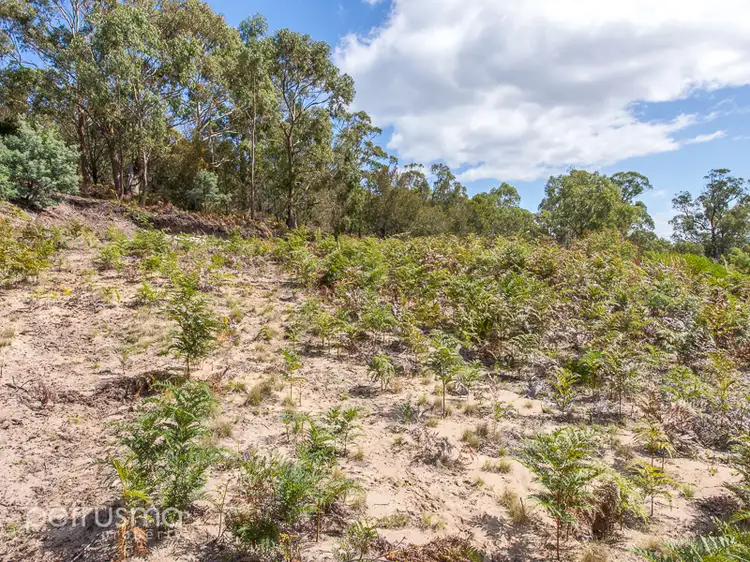 Third view of Homely land listing, 11 Wedgetail Street, Primrose Sands TAS 7173