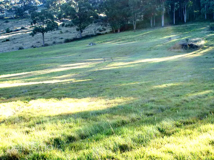 Third view of Homely land listing, 2916 Huon Highway, Huonville TAS 7109