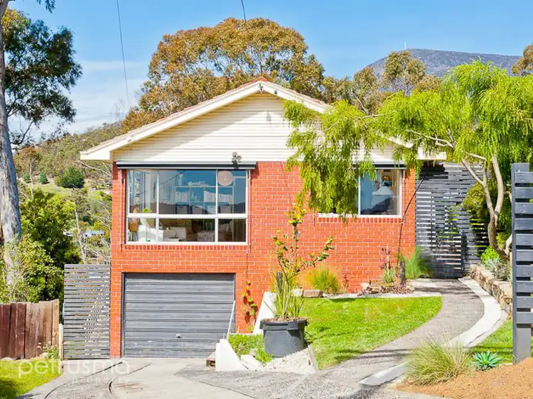 22 Walllace Avenue