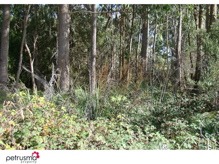 Third view of Homely land listing, 433 - 435 Abels Bay Road, Abels Bay TAS 7112