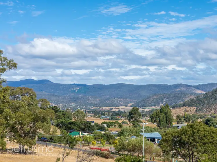 Fourth view of Homely land listing, 546 Back River Road, Magra TAS 7140