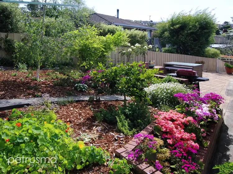 Fifth view of Homely house listing, 11 Amberley Court, Blackmans Bay TAS 7052