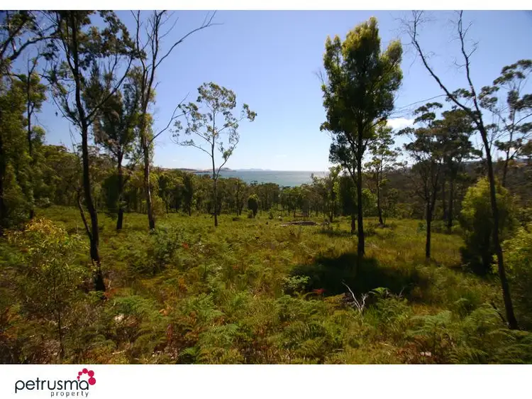 Second view of Homely land listing, 480 Rheban Rd, Spring Beach TAS 7190