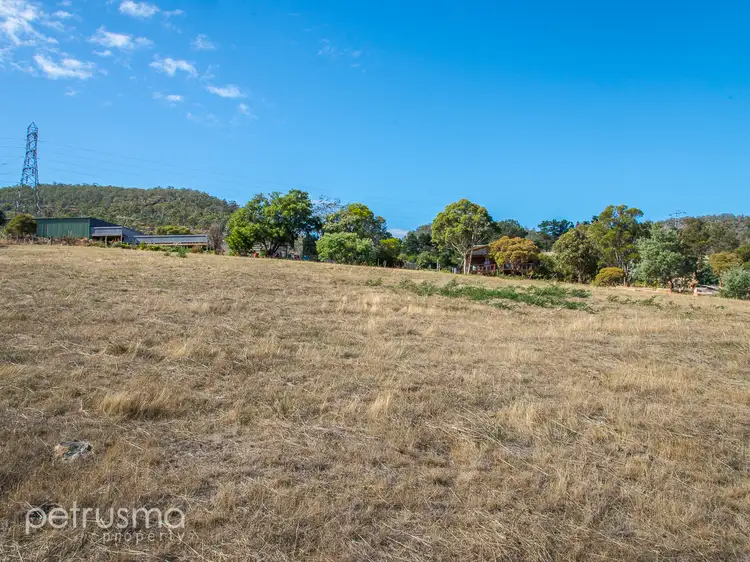 Fifth view of Homely land listing, 546 Back River Road, Magra TAS 7140